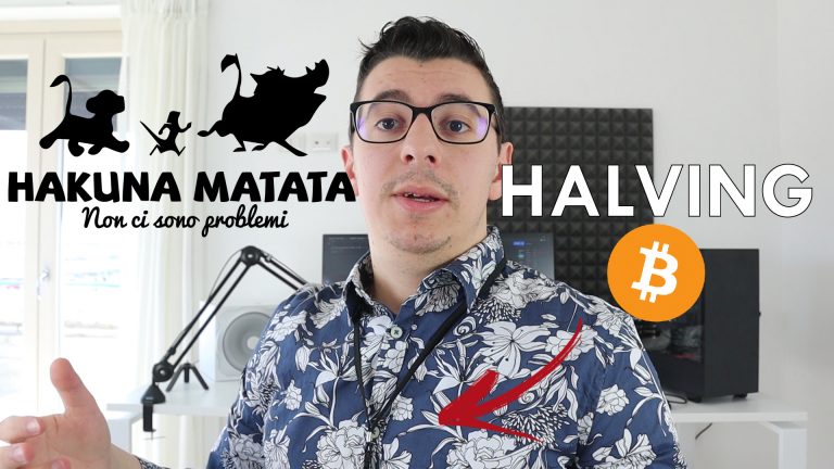 halving bitcoin hakuna matata