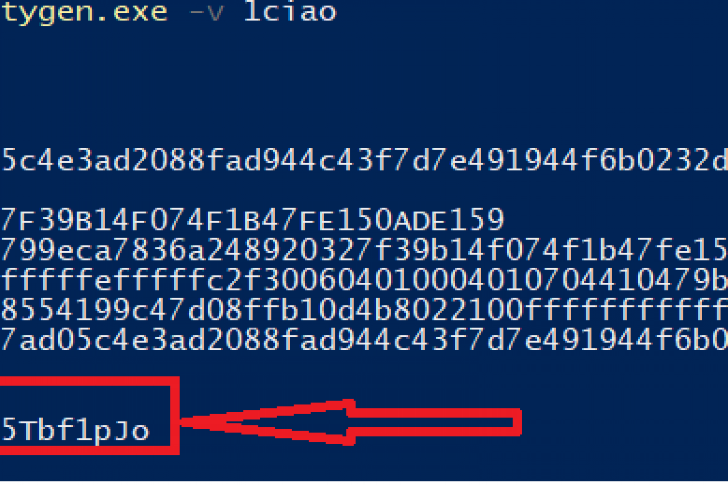 Vanity address cosa sono? Guida definitiva Vanitygen Filippo Angeloni