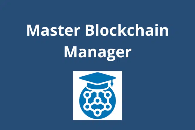 Master blockchain manager consulente